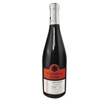 Mukuzani Qvevri Rotwein Trocken 2021, Terra Kisi