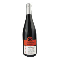 Shavkapito Qvevri 2022 Rotwein Trocken, Terra-Kisi