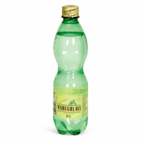 Nabeghlavi Mineralwasser in PET 0,5 Liter