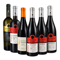 6er Weinpaket-Georgische Premium Weine - Terra Kisi
